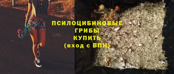 дмт Киреевск