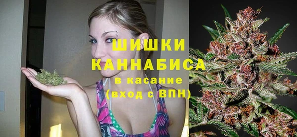 дмт Киреевск