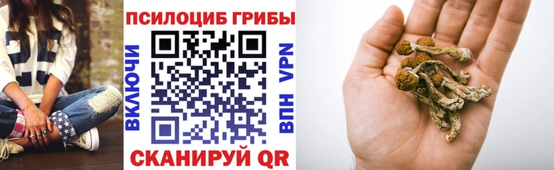 Псилоцибиновые грибы MAGIC MUSHROOMS Боровичи