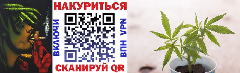 Купить где  Боровичи  Бошки марихуана Amnesia 